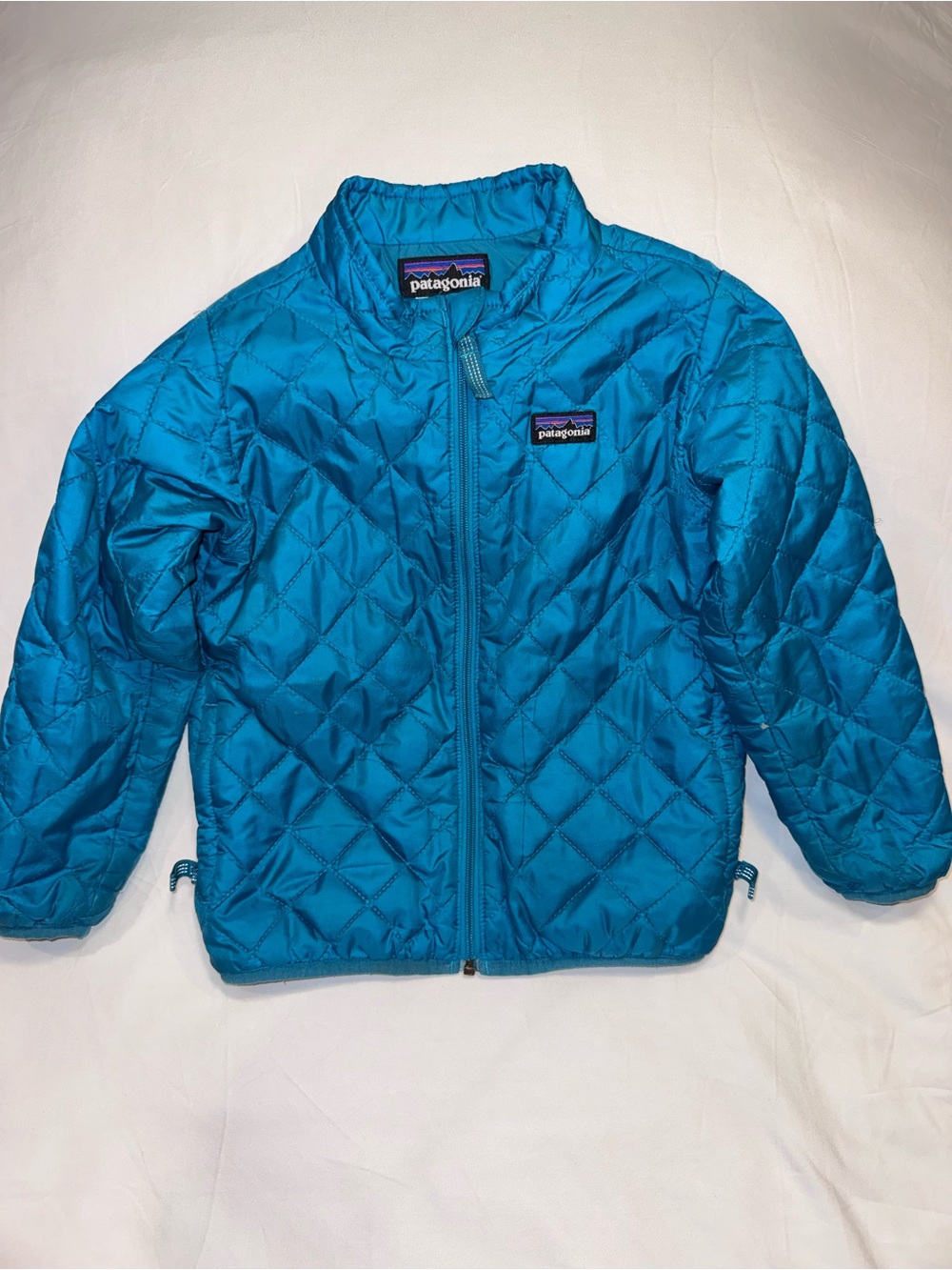Patagonia Kids Teal Nano Puffer Jacket